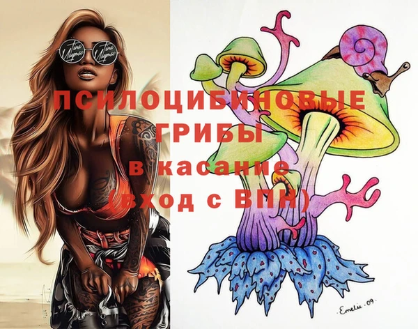 винт Армянск