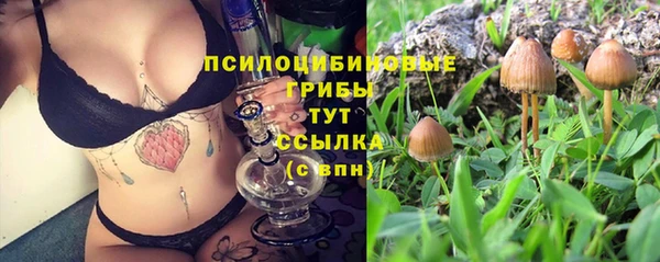 кокаин Арсеньев