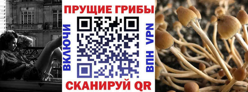 blacksprut сайт  Чистополь  Псилоцибиновые грибы ЛСД 