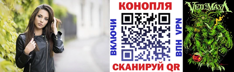 Шишки марихуана сатива  закладка  Чистополь 
